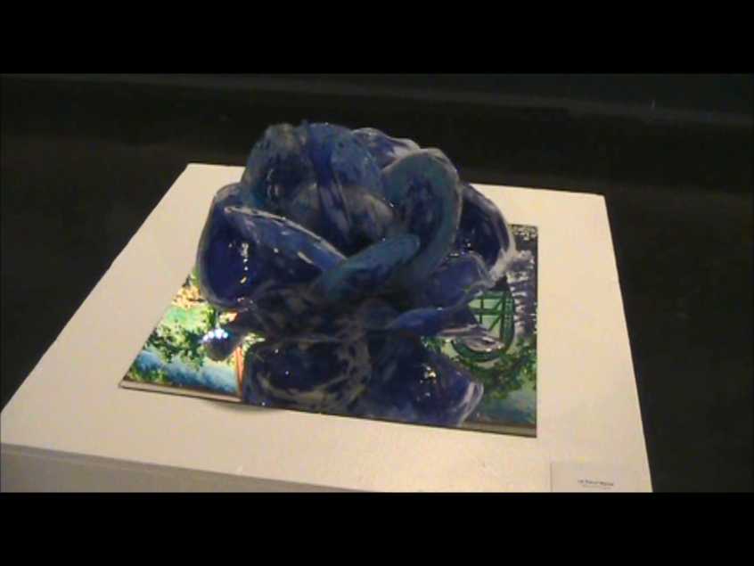 Snap shots of the show